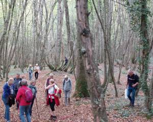 sl_Nailly_2008_2011_202022_206