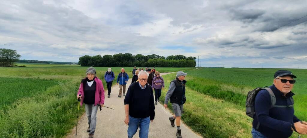 IMG-20250508-WA0029